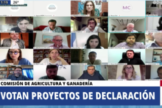 Diputados: cruces por un proyecto K para crear un Observatorio de Agroquímicos