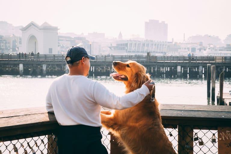 Ninguna es de California: estas son las cinco ciudades más “pet-friendly” de EE.UU.