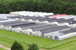 Una empresa tucumana emitió bonos ligados a la sostenibilidad por US$55 millones