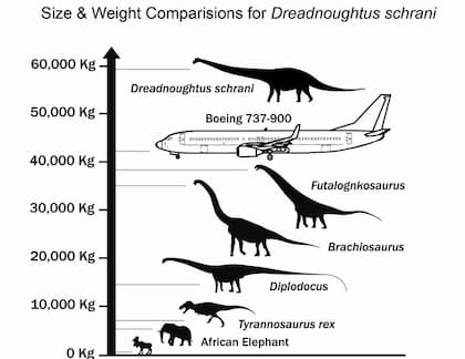 La comparación del nuevo dinosaurio argentino con un avión Boeing 737