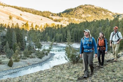 La compra de pases anuales sin cargo adicional queda limitada a quienes puedan demostrar su estatus migratorio al momento de la transacción