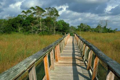 La compra de tierras se había hecho con el objetivo de preservar la zona