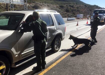 La comunidad migrante de Arizona vive con temor ante las redadas masivas de las últimas semanas