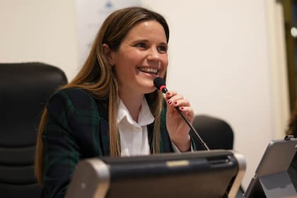 Elecciones legislativas: en Santa Fe nadie se saca ventaja y el escenario se podría dividir en tercios - Image 2