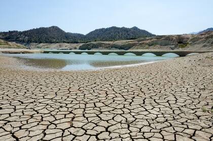 La conciencia ecológica es muy importante para el futuro, según la IA