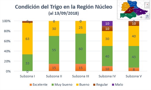 La condición del cereal en la región núcleo