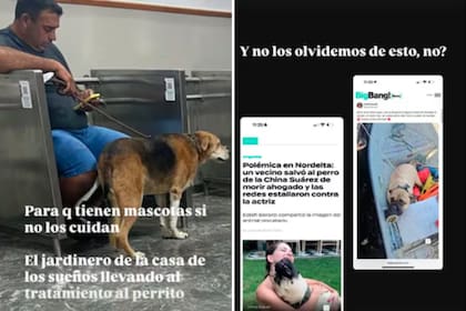 La conductora de SQP (América TV) mostró la foto en la que se ve al jardinero de Icardi con el can en la veterinaria (