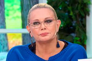 La conductora sufrió un accidente con su perro y debió pasar la noche en el hospital