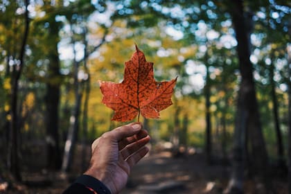 La conexión con la naturaleza es uno de los grandes atractivos de Canadá