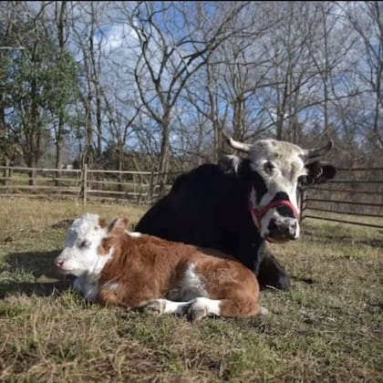 La conexión entre madre e hijo fue maravillosa mientras duró.