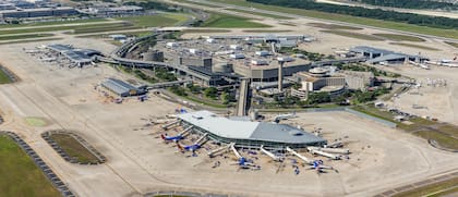 La confiscación de los huesos humanos ocurrió en el Aeropuerto Internacional de Tampa, durante una inspección de ruitina