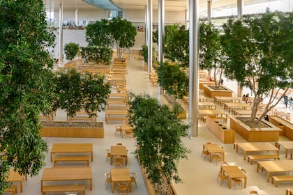 La confitería central del Apple Park, un espacio abierto rodeado de vegetación