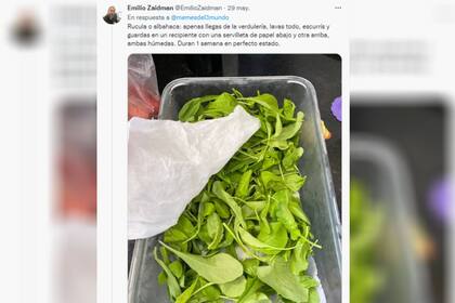 La conservación de alimentos fue el tópico más mencionado (Captura @memesdel3mundo)