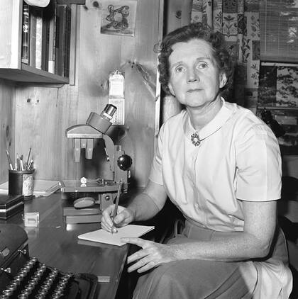 La conservacionista estadounidense Rachel Carson fue una fuente de inspiración para Rafael Navarro