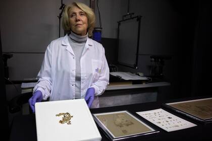 La conservadora de la Autoridad de Antigüedades de Israel, Tanya Bitler, muestra fragmentos de Rollos del Mar Muerto recién descubiertos en el laboratorio de conservación de Jerusalén