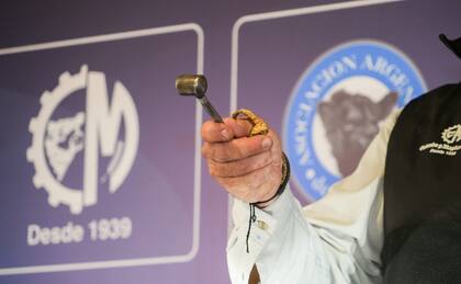 La consignataria llevó adelante un remate televisado de invernada, cría y faena, con gran participación de compradores y valores firmes para la hacienda de calidad y lotes homogéneos