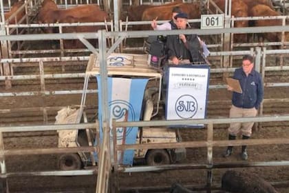 La consignataria Sáenz Valiente, Bullrich y Cía. SA hizo su tradicional remate "Gordo de Navidad"