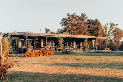 La construcción de hormigón se levanta en medio del parque, rodeado de un verde vibrante, una piscina y la huerta