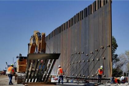 La construcción del muro alteró de forma preocupante la biodiversidad el Canyon de Guadalupe, según advirtieron los expertos