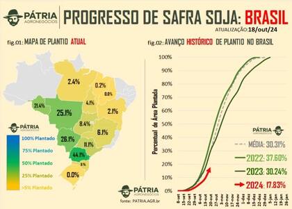 La consultora Pátria Agronegocios relevó el avance de la siembra de soja brasileña 2024/2025 sobre el 17,83% del área, contra el 30,24% de igual fecha de 2023
