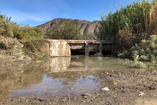El lugar en donde los vecinos tienen miedo de comer carne o frutas envenenadas