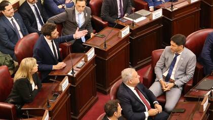 La convención constituyente de Santa Fe comenzó sin Oliveras