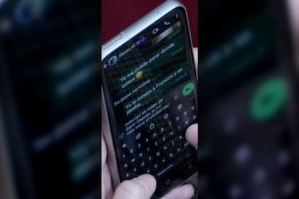 La conversación entre Lilia Lemoine y Martín Menem