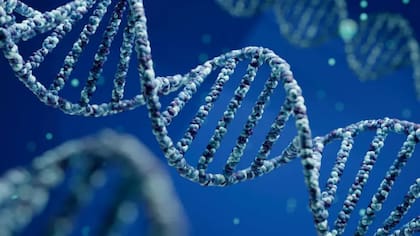 La conversión genética se describe con frecuencia como una especie de mecanismo de "copiar y pegar" en el que la información se copia de una versión de un gen a otra