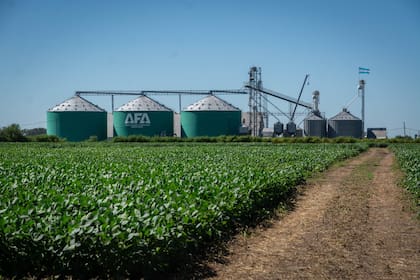 Una cooperativa agrícola quiere invertir más de US$150 millones, pero espera que antes cambie una ley