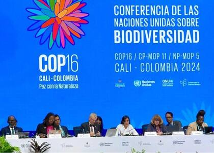 La COP16 abordó la conexión entre cambio climático y biodiversidad desde la perspectiva científica