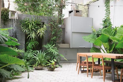 La copa de los árboles circundantes generan un microclima urbano, mientras el espacio de parrilla es ideal para compartir largas sobremesas. A ambos lados, la Alocasia odora abraza el espacio.