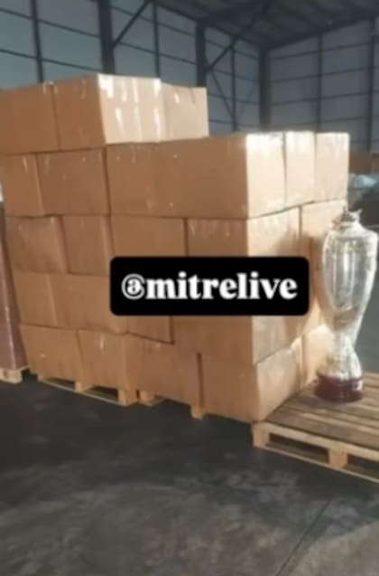 La copa que le dieron a Wanda cuando ganó el Bailando en Italia, embalada en un depósito (Foto: Captura)