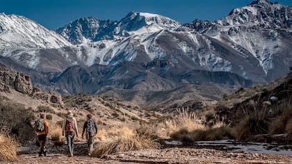 La Cordillera de los Andes habría sido un área de clima cálido, casi tropical, en el período Paleógeno hace 65 millones de años