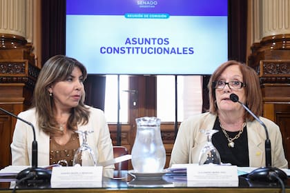 La cordobesa Alejandra Vigo, que se opuso a la incorporación de Villaverde, tomó la palabra