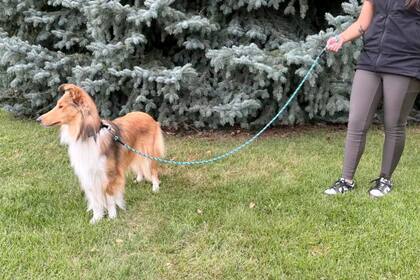 La correa a presión tiene un gran agarre y buena durabilidad (Foto: CNN)