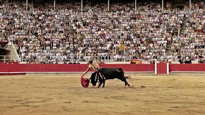 La Corte consideró que la ley antitaurina catalana invade competencias del Estado