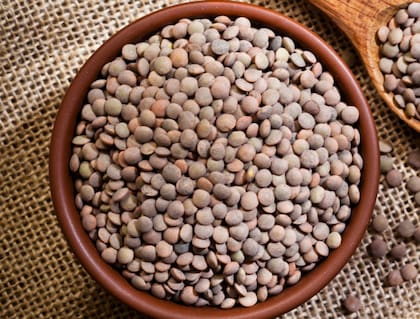 La cosecha de lentejas resultó de 30.800 toneladas, un importante incremento del 89% entre campañas