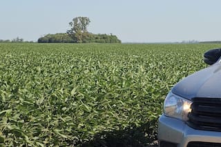 La cosecha de soja 2025/26 de Brasil alcanza el 10% de la superficie, dice AgRural