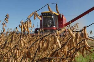 Mejora en US$800 millones una previsión de ingresos al país por el agro