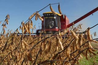 Mejora en US$800 millones una previsión de ingresos al país por el agro