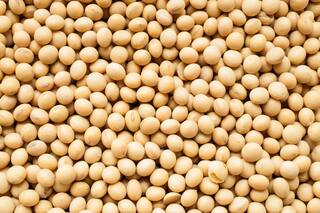 La cosecha de soja en Brasil permanece en la mira de los operadores