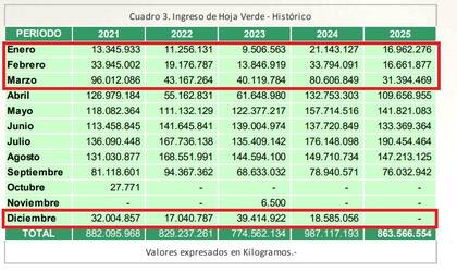 La cosecha de verano o zafriña, entre diciembre y marzo, explica algo más del 10% del volumen de hoja verde