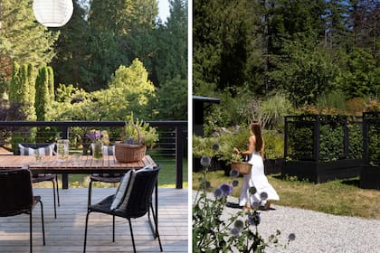 La cosecha es una de las actividades que más disfruta la pareja en sus tiempos libres.