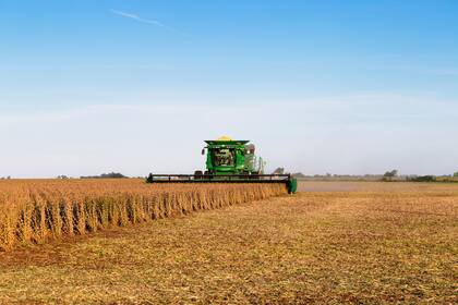 La cosecha finalizó con un volumen de 50,5 millones de toneladas