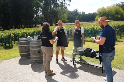 La cosecha participativa en Costa & Pampa incluye la degustación de vinos