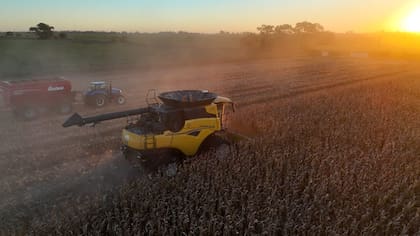 La cosecha récord del agro podría ser un factor de tracción para los próximos meses, aunque su impacto en la industria y la construcción es indirecto y tardío