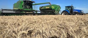 A la mejor campaña de la historia del trigo le faltará la frutilla del postre