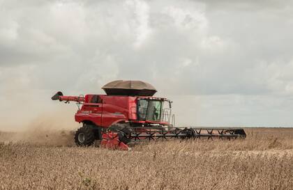 La cosechadora Serie 250 cuenta con un sistema inteligente de autorregulación con cuatro modos de cosecha que gracias a sus 16 sensores posicionados en los sistemas de la máquina proporcionan hasta un 15% más de productividad, además de simplificar las operaciones en el campo