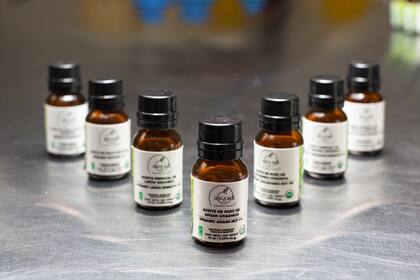 El segmento orgánico creció entre un 15 y un 20% anual en todo el mundo, en los últimos 25 años.