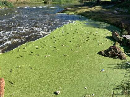 La costa de San Antonio de Areco en el verano 2024